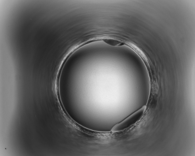 X0000097880813200803211333