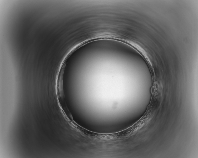 X0000097880815200803211333