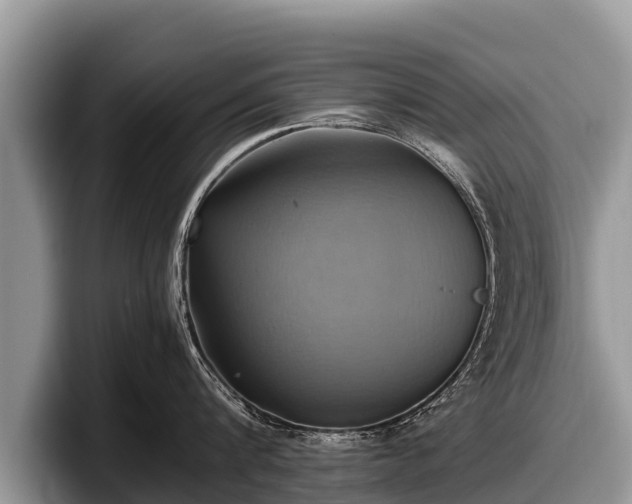 X0000097880816200803211333