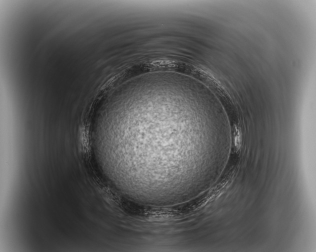 X0000097880819200803211332
