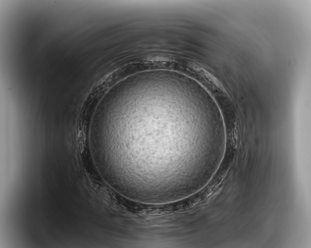 X0000097880821200803211332