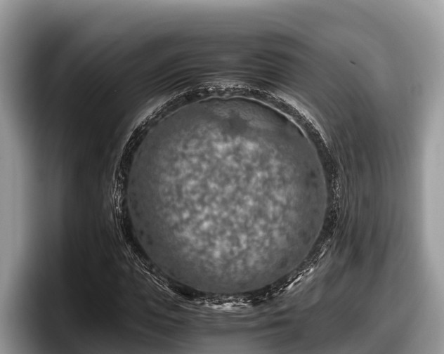X0000097880823200803211332
