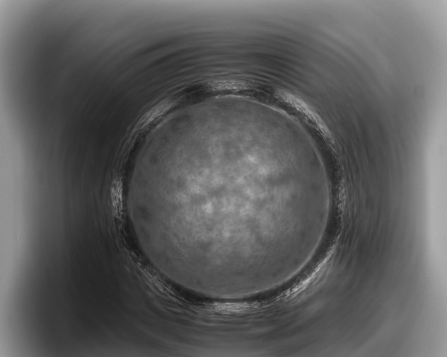 X0000097880825200803211332