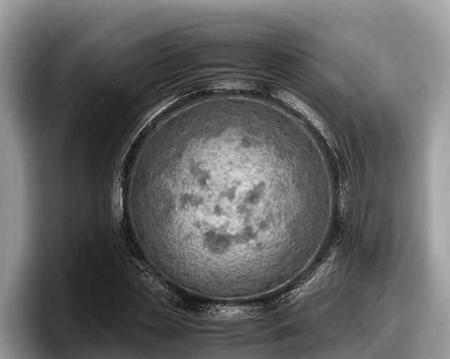 X0000097880829200803211332
