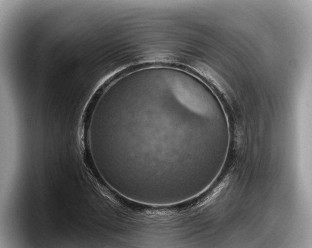 X0000097880830200803211332