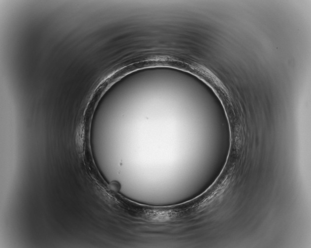 X0000097880831200803211332