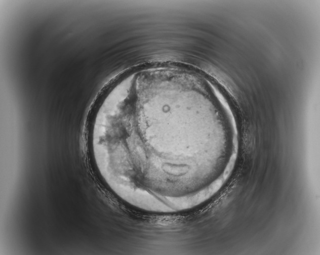 X0000097880832200803211332