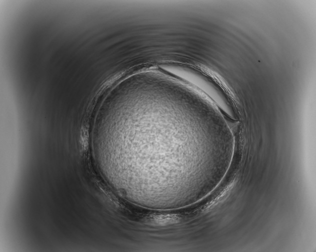 X0000097880833200803211332
