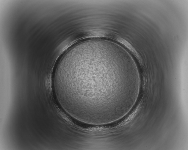X0000097880834200803211332