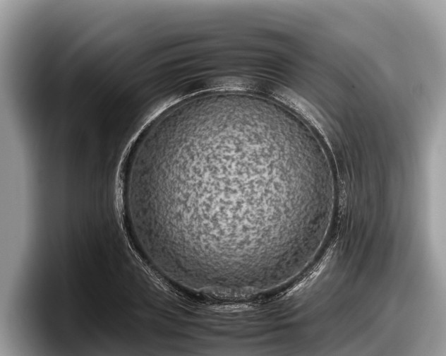 X0000097880835200803211332