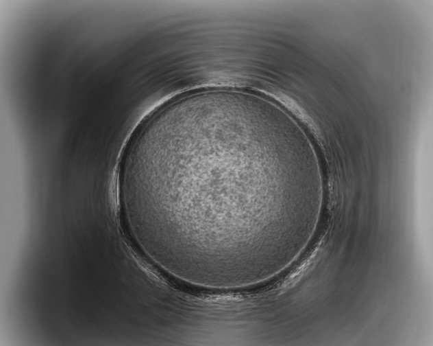 X0000097880838200803211332