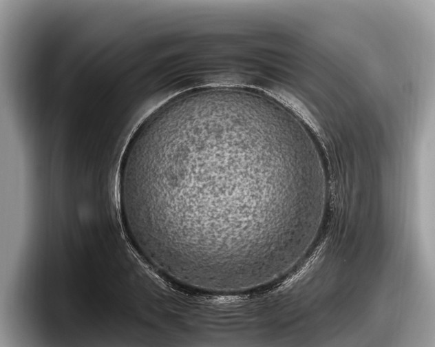 X0000097880839200803211332