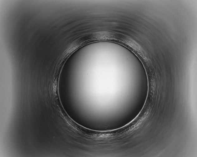 X0000097880841200803211332