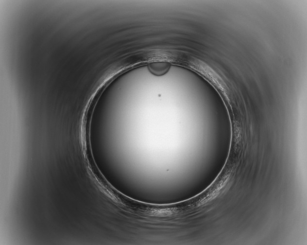 X0000097880843200803211332
