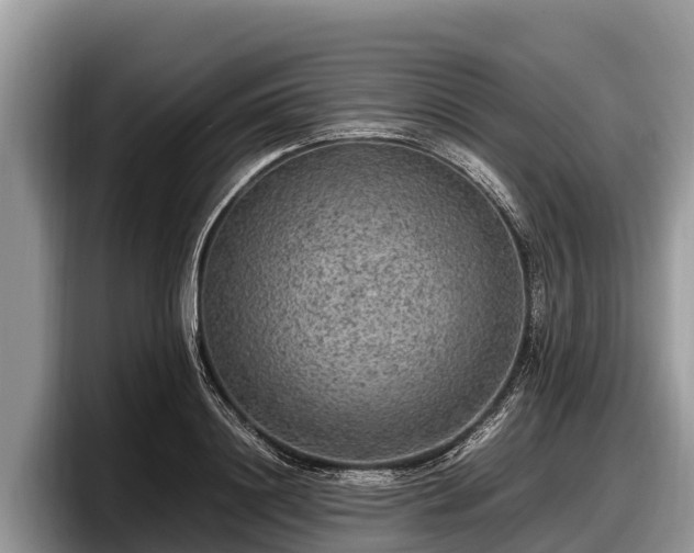 X0000097880844200803211332