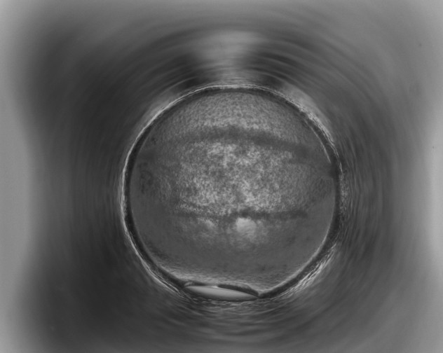 X0000097880845200803211333