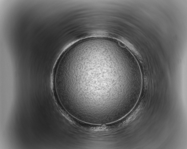 X0000097880846200803211333