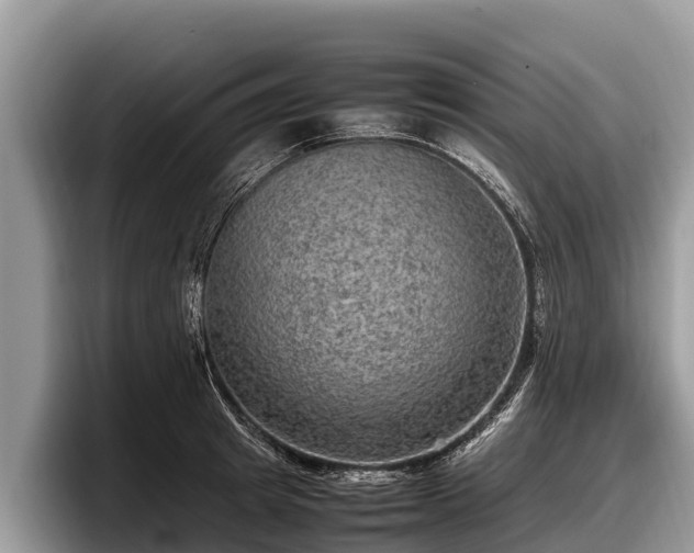 X0000097880849200803211333