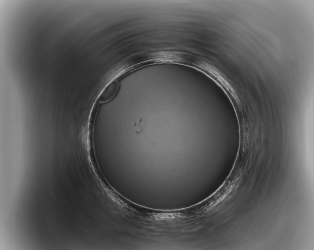 X0000097880853200803211333