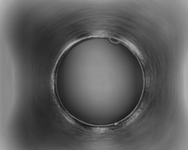 X0000097880854200803211333