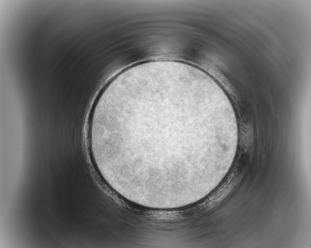 X0000097880856200803211333