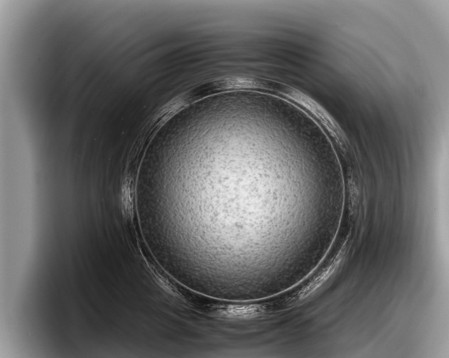 X0000097880857200803211333