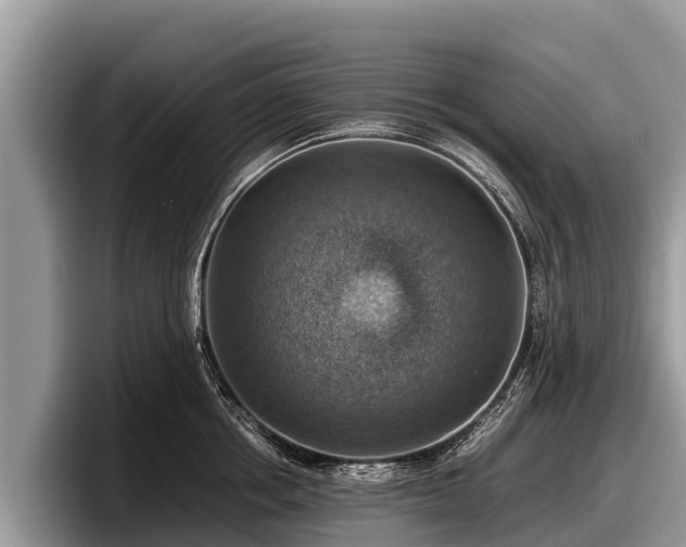 X0000097880858200803211333