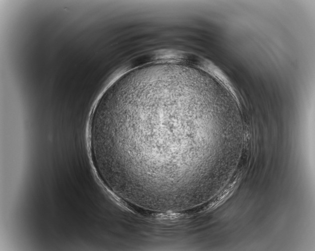 X0000097880859200803211333