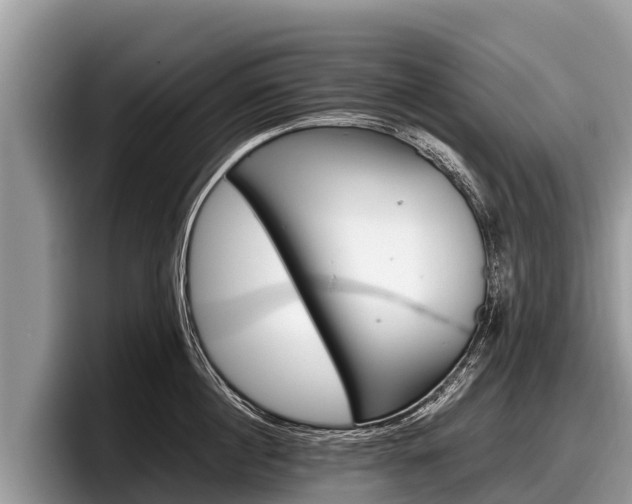 X0000097880860200803211333