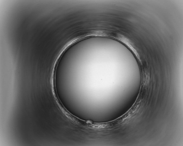 X0000097880861200803211333