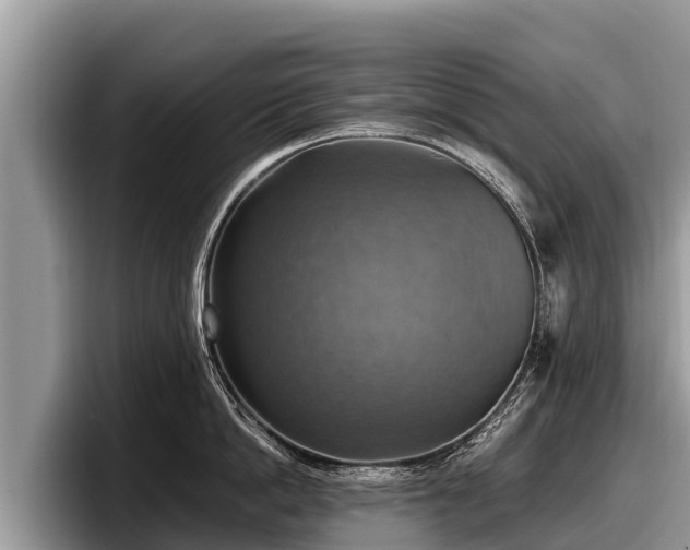 X0000097880862200803211333