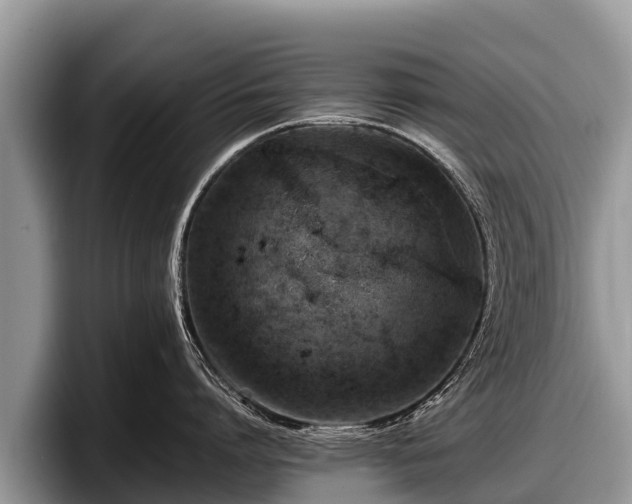 X0000097880864200803211333