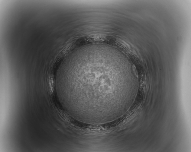 X0000097880866200803211332