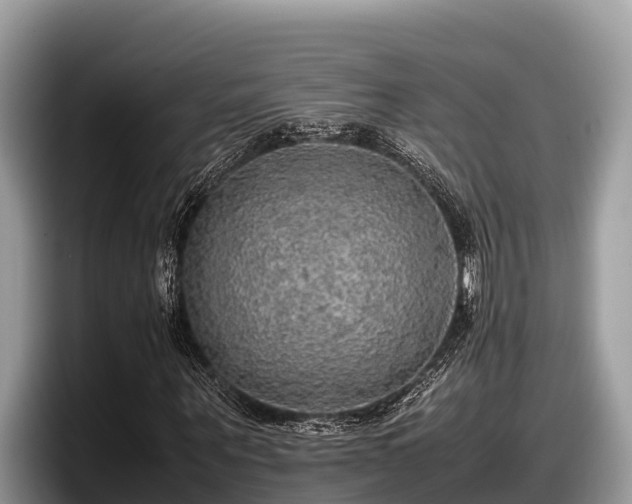 X0000097880867200803211332