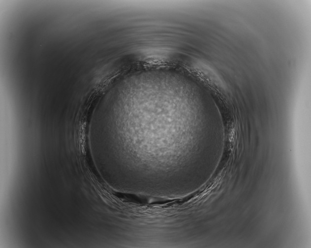 X0000097880868200803211332