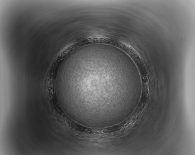 X0000097880870200803211332