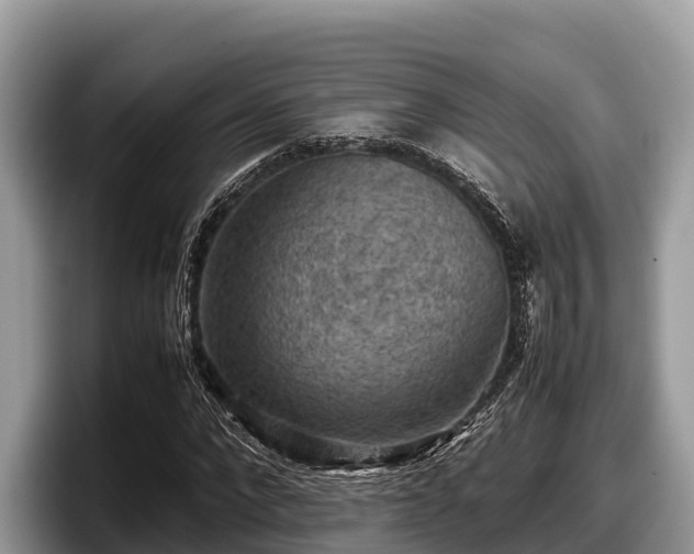 X0000097880872200803211332