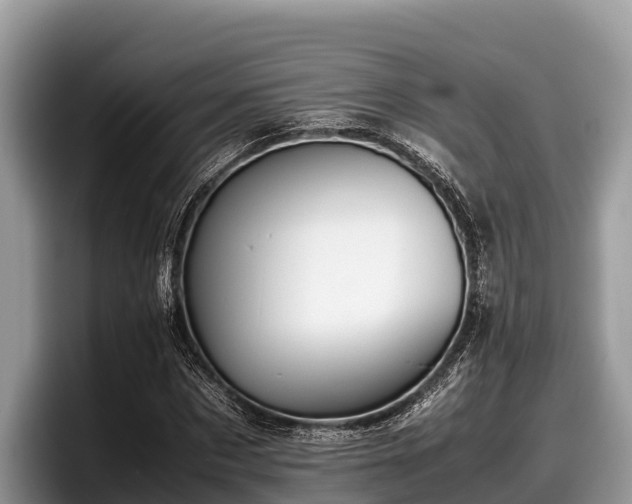 X0000097880873200803211332