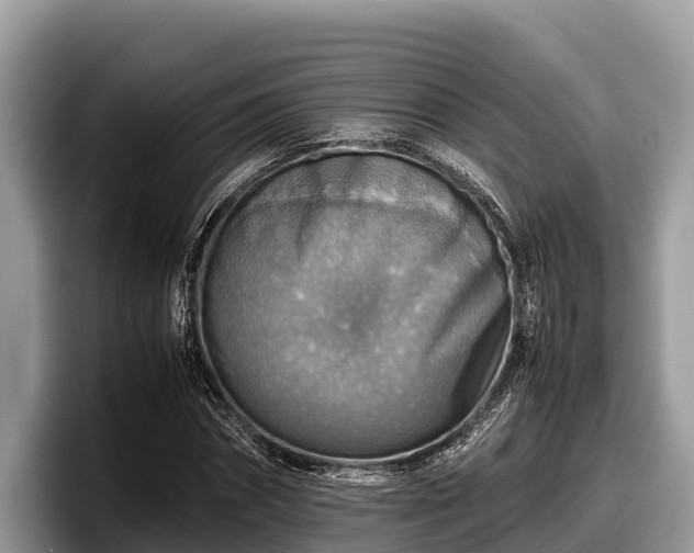X0000097880874200803211332