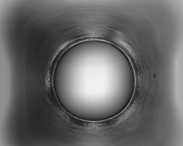 X0000097880875200803211332