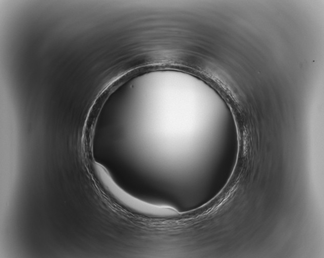 X0000097880876200803211332