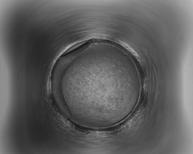 X0000097880877200803211332
