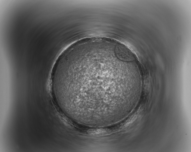 X0000097880879200803211332