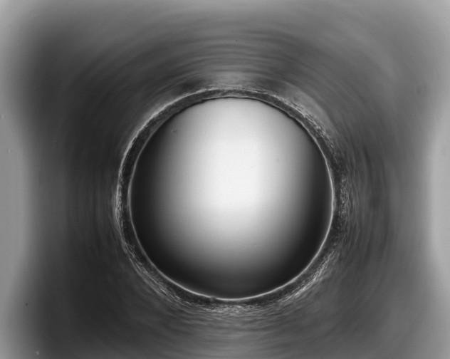 X0000097880880200803211332