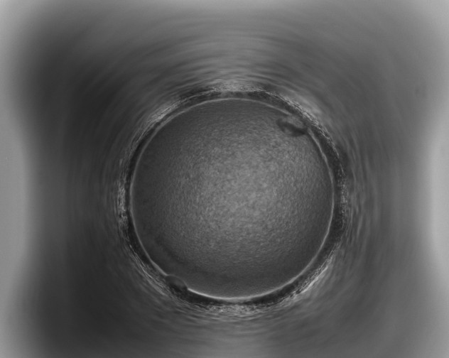 X0000097880881200803211332