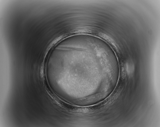X0000097880882200803211332