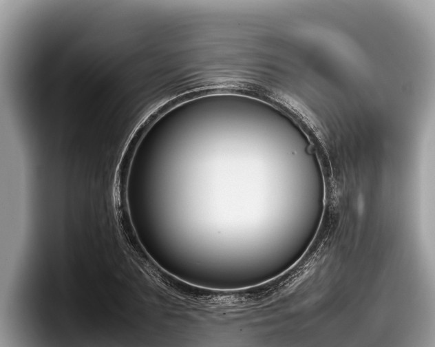 X0000097880883200803211332