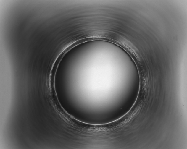 X0000097880884200803211332