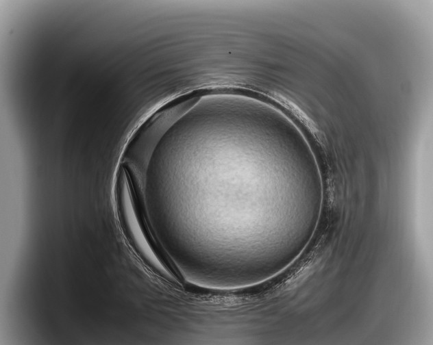 X0000097880885200803211332