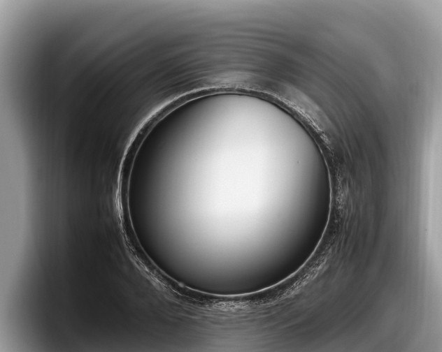 X0000097880888200803211332